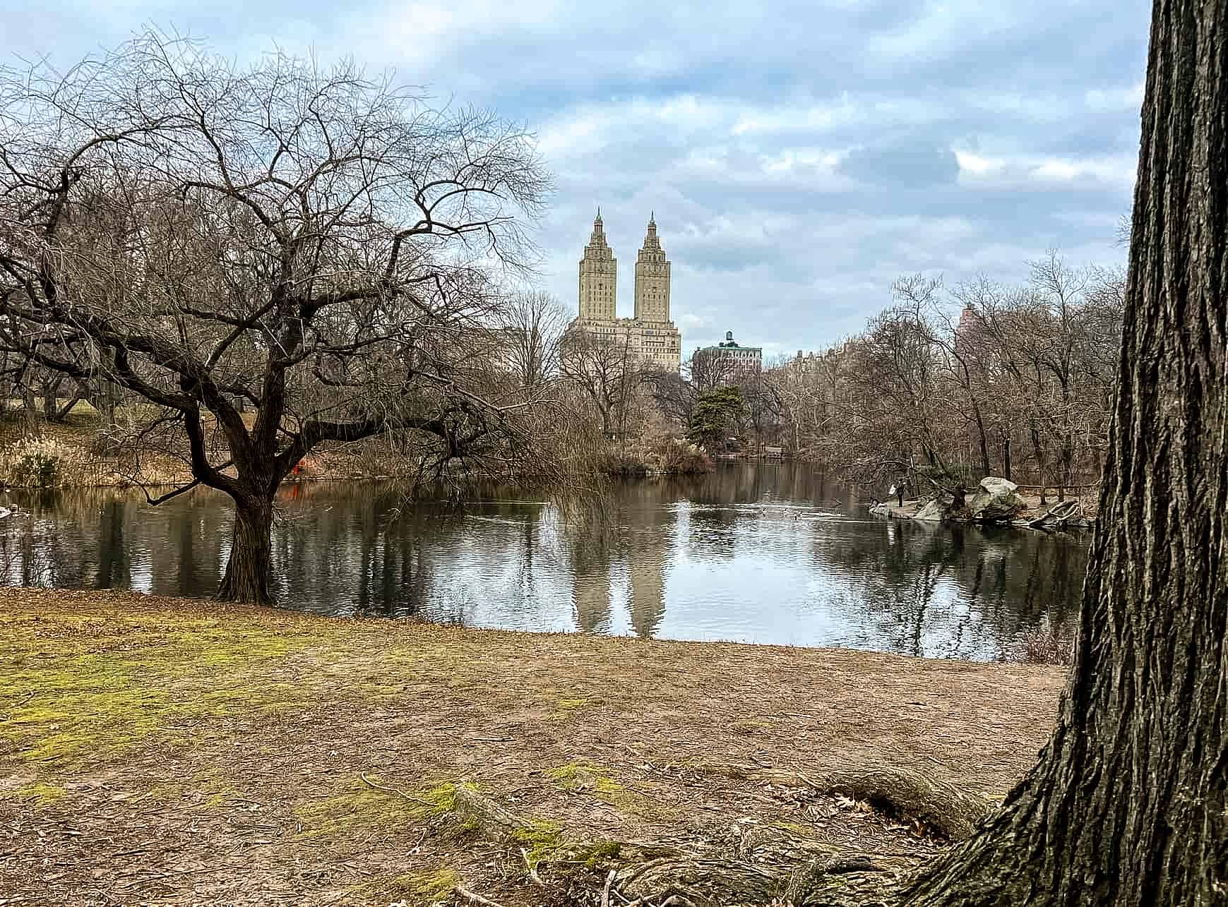An oasis amidst the skyscrapers - Central Park in New York City, USA.
