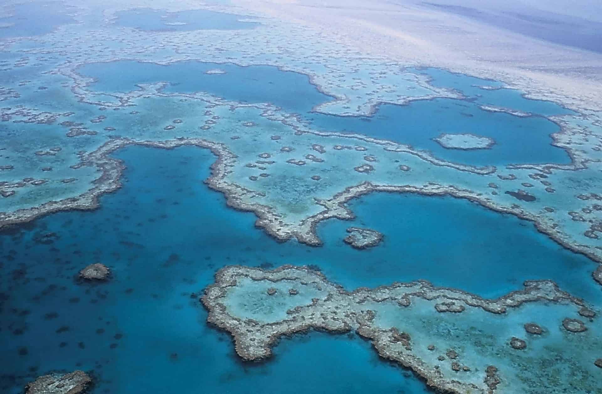 Great Barrier Reef in at the East coast of Australia.
