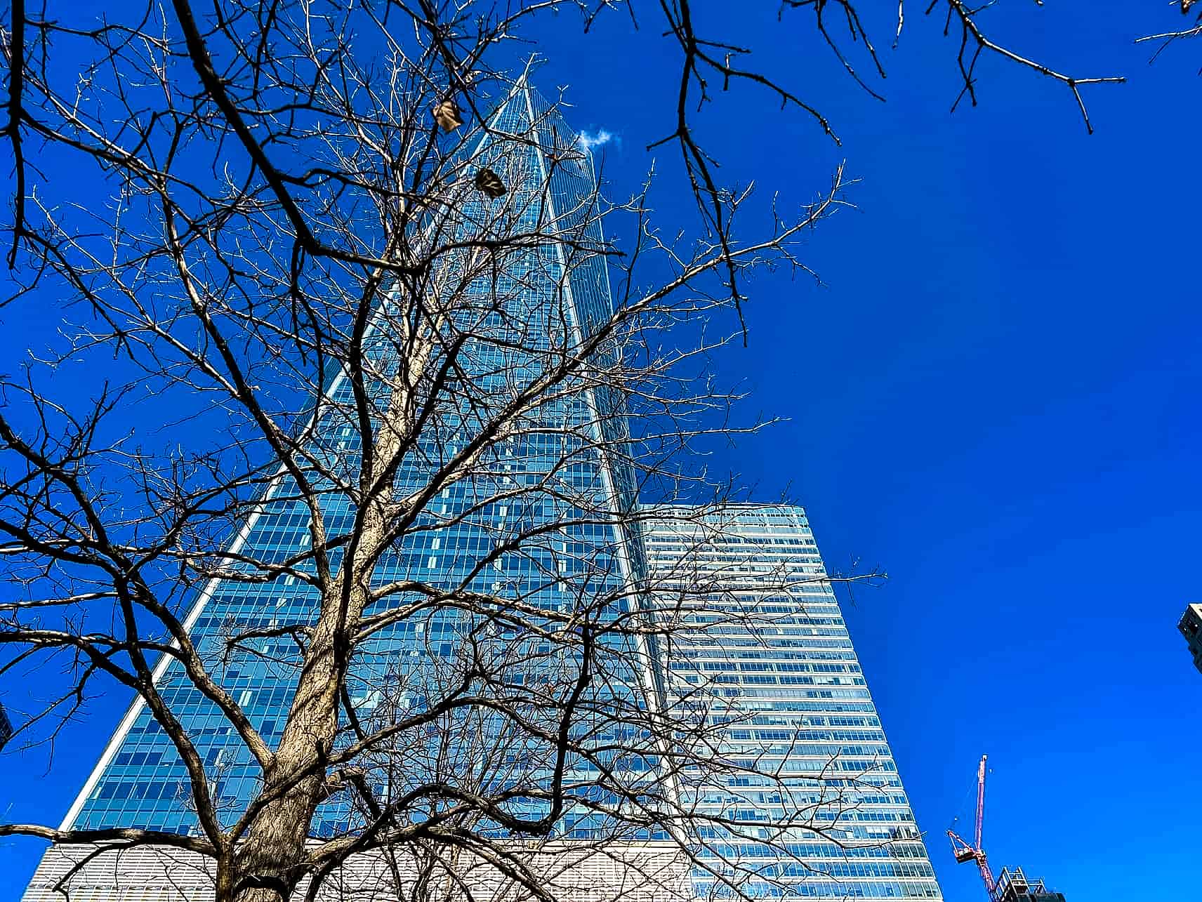 One World Trade Center in New York City, USA.