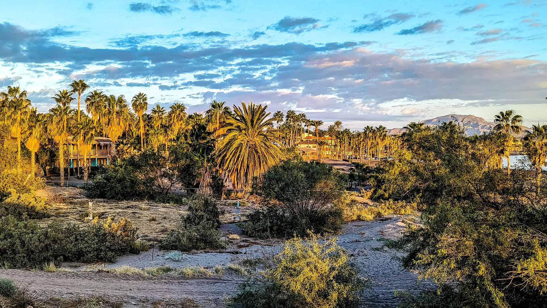 At the beach and behind the palms - Hotel Oasis in Loreto, Baja California Sur, Mexico.