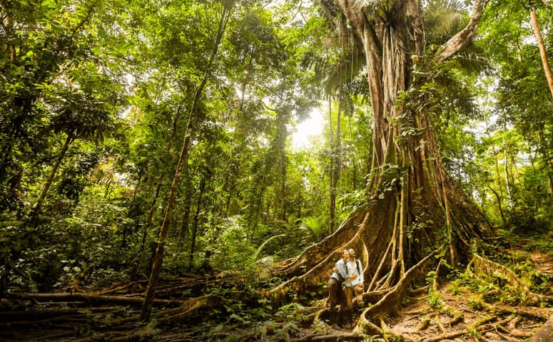 couple in the jungle